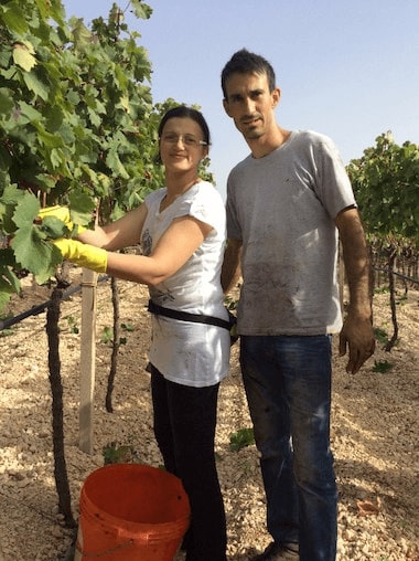 Cantina tre pini OceněnáVína_CZ